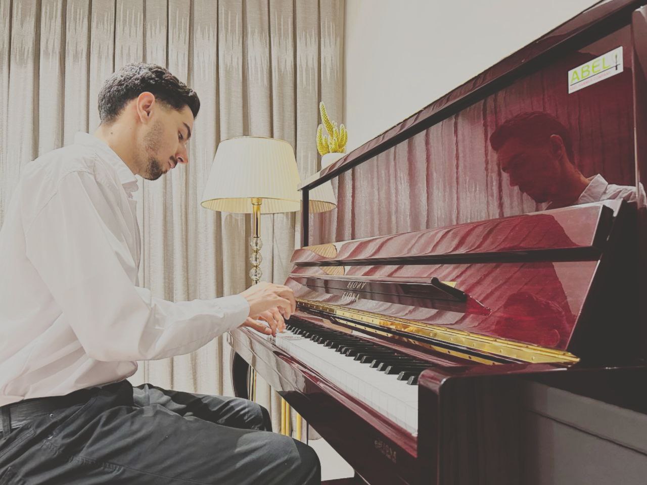 ایلیا طاهری